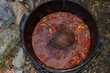 moose meat, dutch oven, outdoor cooking
