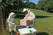 © Linda J Photography - Mother showing her child how to add another hive box to a Langstroth beehive with green plant background copy space.