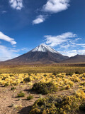 Fototapeta  - mount teide volcano