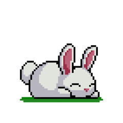 Wall Mural - Pixel bunny image. for 8 bit game assets. Cross stitch pattern or t-shirt design vector illustration.