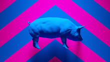 Blue Pig With Blue An Pink Chevron Hazard Pattern Background 3d Illustration Render