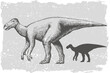 Dinosaur iguanodon grafic hand drawn and silhouette illustration