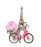 Fototapeta Boho - Bicycle with pink hydrangea flowers in basket, Eiffel tower in Paris, France. Watercolor