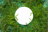 Fototapeta Desenie - A creative composition of green thuja and juniper branches on a blue background and a white empty round frame that copies the space. The concept of summer, spring or ecology. selective focus