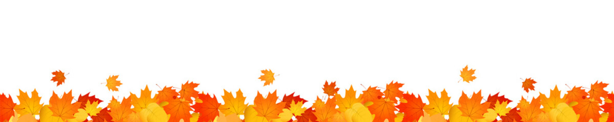 Wall Mural - autumn header overlay of fallen orange and red leaves