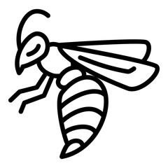 Poster - Wasp insect icon. Outline wasp insect vector icon for web design isolated on white background