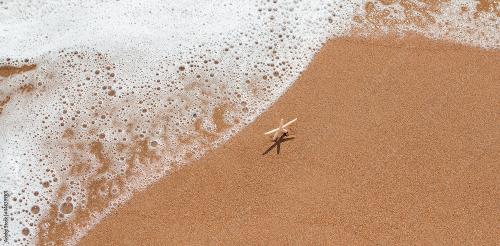 Beautiful white starfish standing on sand and waiting for the waves at the seashore. Summer vacation and relaxation concept. Marine banner with copy space. - obrazy, fototapety, plakaty 