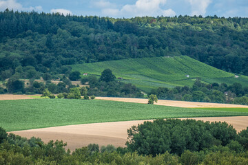 Canvas Print - Dunkle Gewitterwolken über Agrarlandschaft