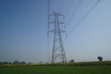 Wall Mural - Transmission tower in mustard field