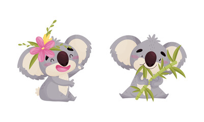 Wall Mural - Cute Gray Koala Bear Chewing Bamboo Leaf and Waving Paw Vector Set