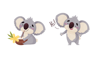 Wall Mural - Cute Gray Koala Bear Greeting and Drinking Coconut Cocktail Vector Set