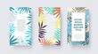Vector social media banner with monstera leaves, palms, tropical, exotic jungle, with header, place for photo.