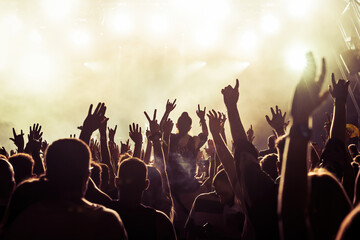 Wall Mural - crowd at the concert