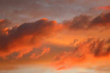 Poster - evening beautiful sunset. clouds in the orange sky