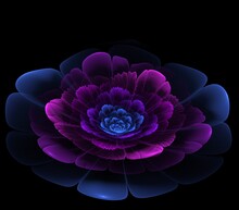 Dark Fractal Flower, Digital Artwork For Creative Graphic Design...Fractal Pattern In The Shape Of Flowers On A Black Background.Abstract Fractal Background