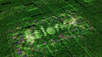 Poster - Computer science and internet concept. Animation. Green circuit board spreading energy waves around the word science.