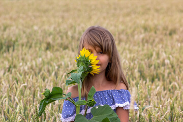 Little girl on a wheat field with a sunflower flower.