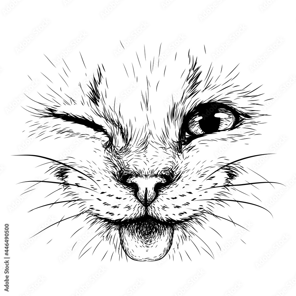 Funny Cat. Creative design. Graphic portrait of a smiles cat in close-up on a white background. Digital vector graphics. - obrazy, fototapety, plakaty 