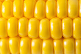 Fototapeta  - corn texture background. Corn grains close up