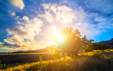 Sticker - beautiful land dawn in the mountains