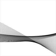 Abstract Black Line Grey Wave Gray Band On White Background Vector