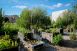 © Viesturs - Urban gardening - community garden in center of the city with raised beds. Urban Horticulture. Selective focus