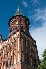 Wall Mural - Cathedral of Konigsberg on the Kneiphof island against blue sky, Kaliningrad, Russia