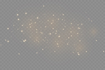 Wall Mural - the dust sparks and golden stars shine with special light. vector sparkles on a transparent backgrou
