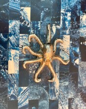Background With A Frame Octopus Marine