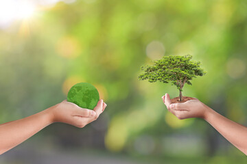 Canvas Print - hands holding grass globe and tree over green nature background. saving world ecology concept