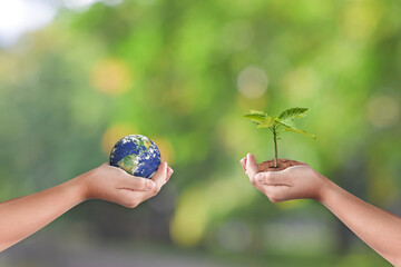 Canvas Print - hands holding earth globe and tree over green nature background. saving world ecology concept
