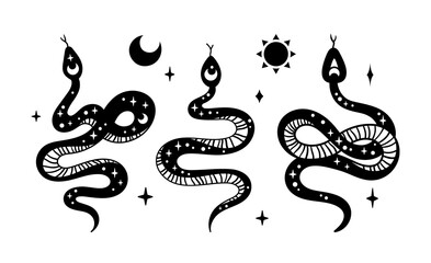 Wall Mural - mystical boho snake isolated cliparts bundle, celestial reptile with sun and moon symbol, space magi