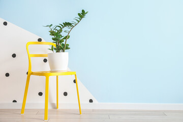 Wall Mural - Houseplant in pot on chair near color wall