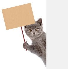 Wall Mural - Cat looks from behind empty white banner and holds blank banner mock up on wood stick. isolated on white background