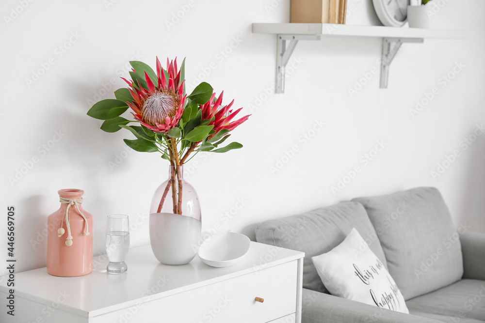 Chest of drawers with protea flowers in interior of room - obrazy, fototapety, plakaty 