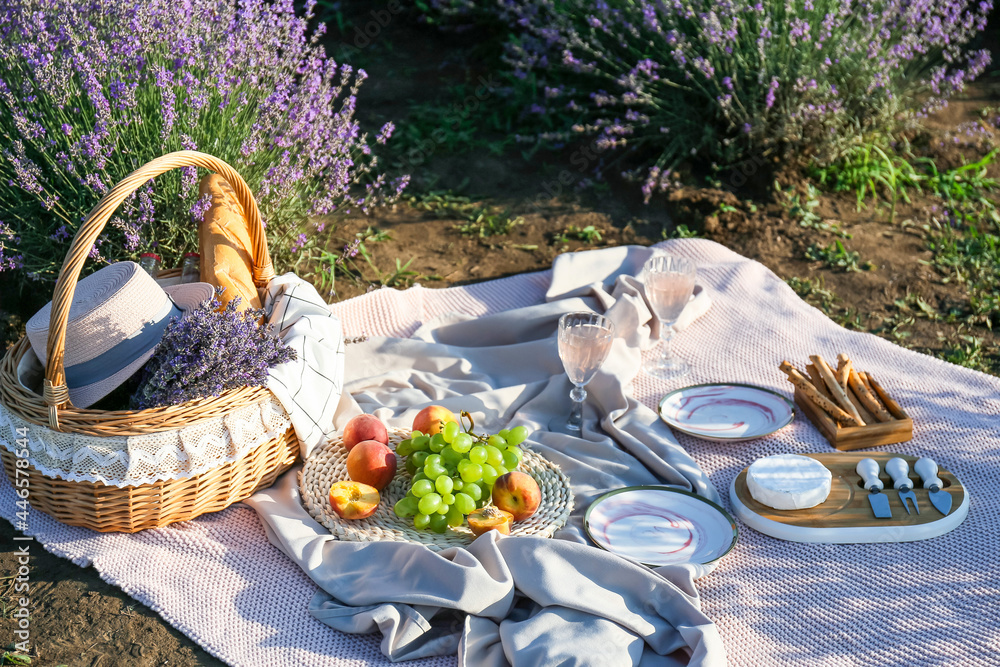 Wicker basket with tasty food and drink for romantic picnic in lavender field - obrazy, fototapety, plakaty 
