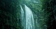 waterfall in a green forest