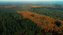 Panorama Of The Lush Forest In Autumnal Colors At Doorn, Utrechtse Heuvelrug In The Central Netherlands. Aerial