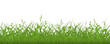 Green grass meadow border. Spring plant field lawn. Grass background.