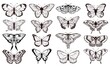 Butterfly Silhouettes Black Outline Butterflies Tattoo Graphic Vector Set Wedding Card Design
