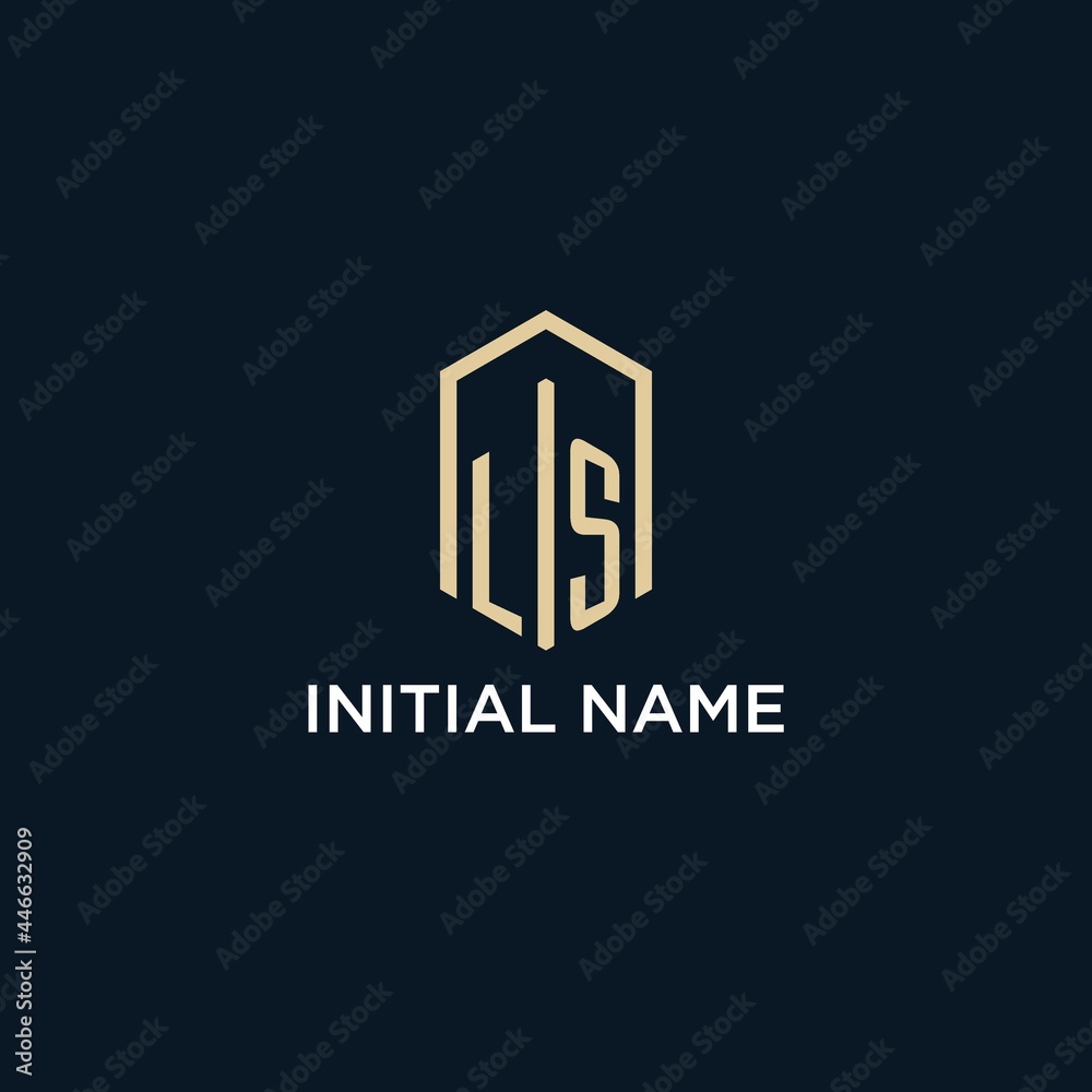 Image vectorielle Stock LS initial monogram logo with hexagonal shape ...