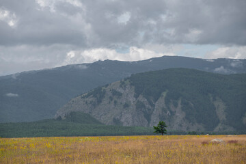 Wall Mural - landscape with clouds