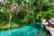 Turquoise Wikki Warm Springs, Yankari National Park, Eastern Nigeria, West Africa, Africa