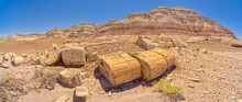 Large Pieces Of Petrified Wood On The West Side Of Red Basin In Petrified Forest National Park Arizona