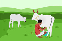 Indian Farmer Milking Cow Illustration Vector