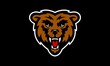 © CC0hort - Bear sports vector mascot logo