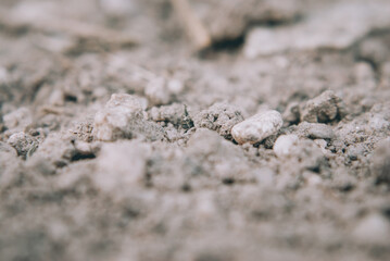 Sticker - Selective focus shot of a rocky surface