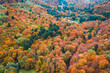 © AmazingAerialAgency - Aerial view of a forest with green, yellow and oranges trees during fall and autumn season, Aiguillier Massif, Orcival, Rochefort Montagne, Puy de dome, Auvergne, France.