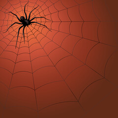 big dark spider on the web