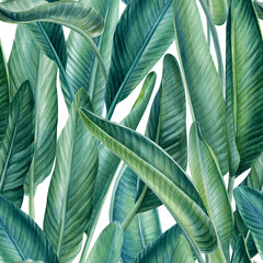 Strelitzia leaves, tropical background, watercolor illustration, digital paper, seamless pattern